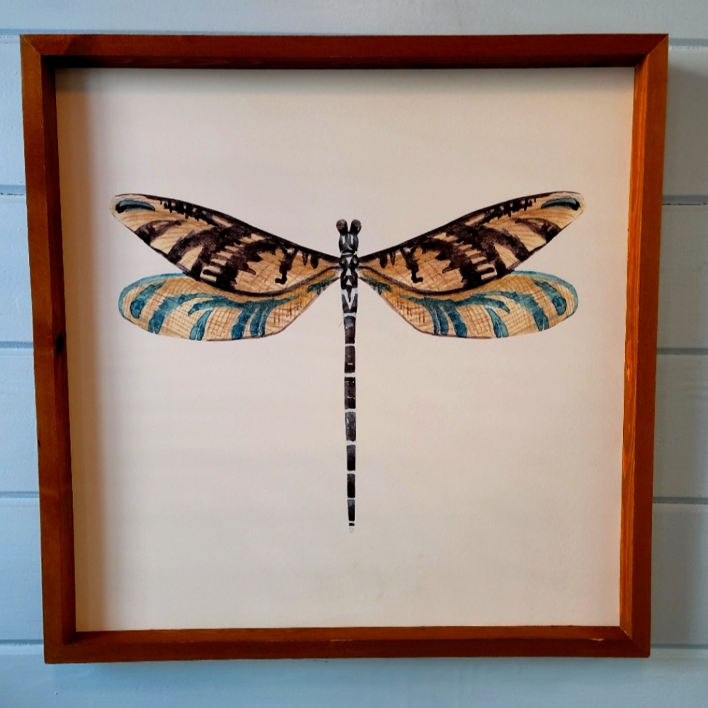 Dragan fly pictures